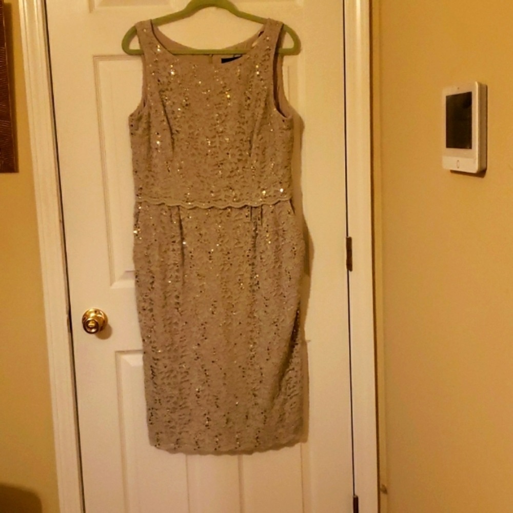 COPY - Alex Evenings  Lace Plus Size Dress